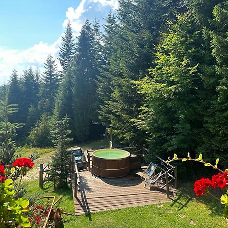 Lesna Bacowka Villa Nowy Targ Luaran gambar
