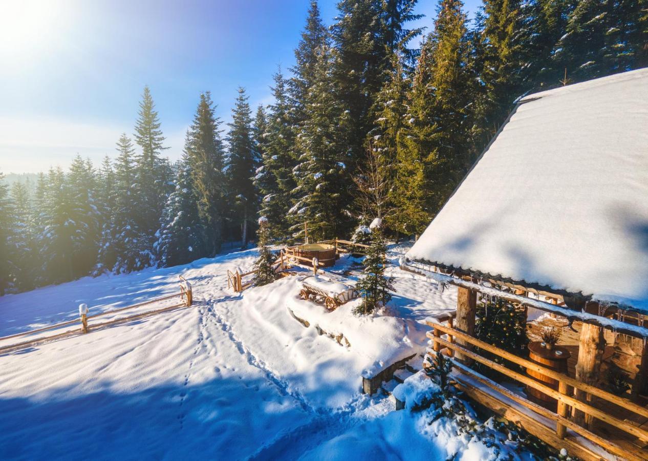 Lesna Bacowka Villa Nowy Targ Luaran gambar