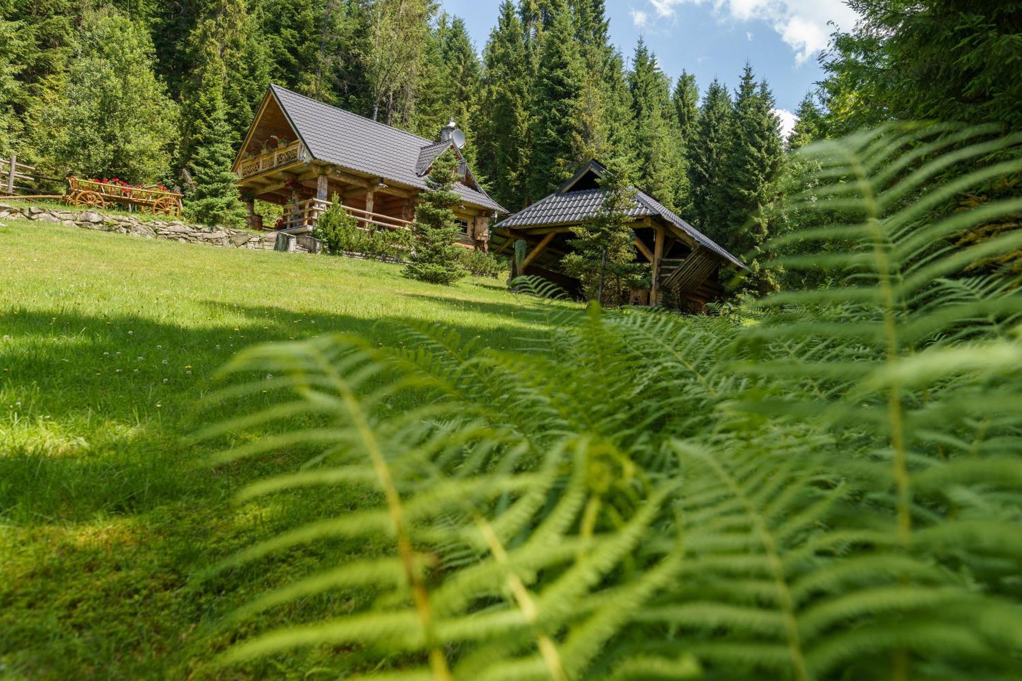 Lesna Bacowka Villa Nowy Targ Luaran gambar