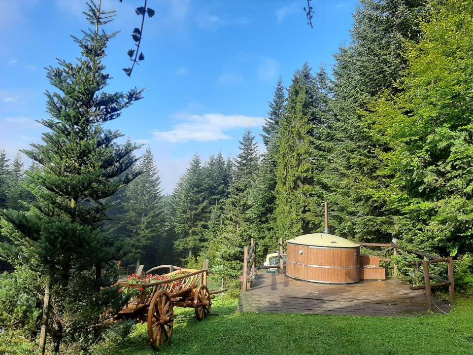 Lesna Bacowka Villa Nowy Targ Luaran gambar