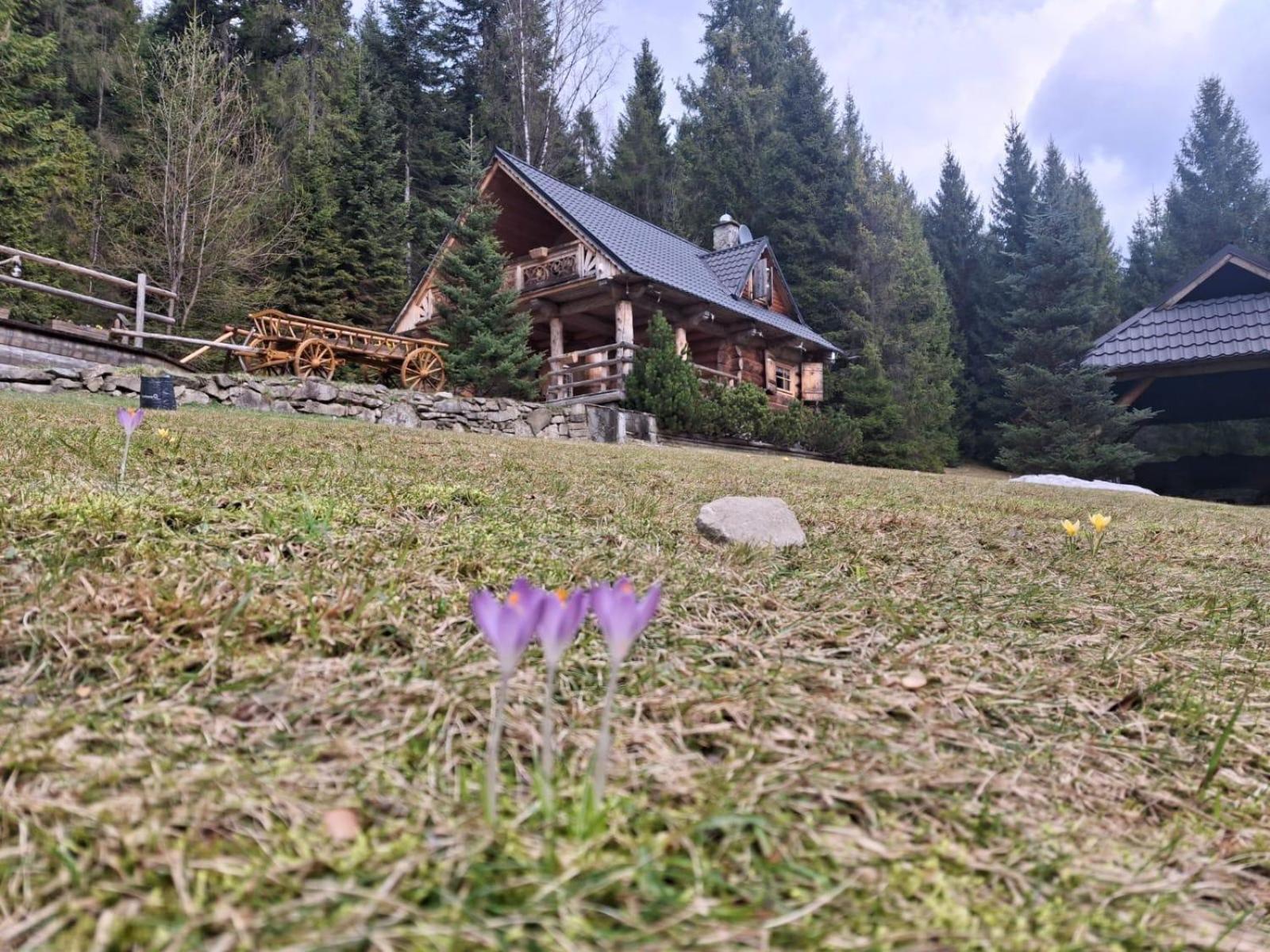 Lesna Bacowka Villa Nowy Targ Luaran gambar